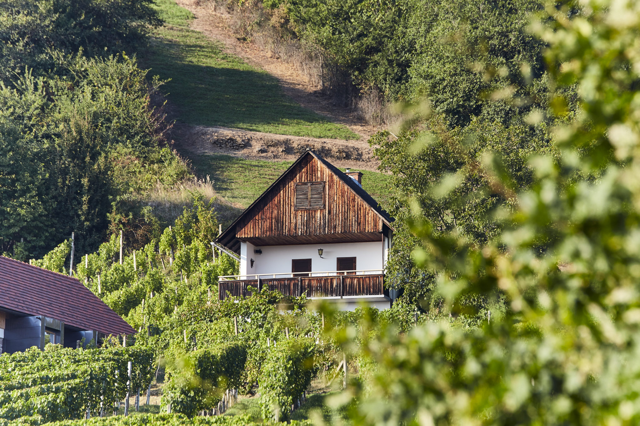 5 Gründe Für Einen Urlaub Im Chalet In Der Südost- Und Südsteiermark